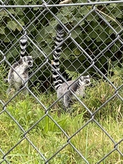 August Always Adds Pocket Pressure, Frugal Friends Thrive Thriftily