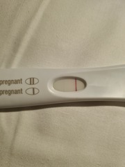 Pregnancy tests!