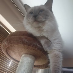 What's your DCat up to today? (Thread 8)