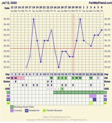 Tracking your cycle and possible BFP using RHR - part 2