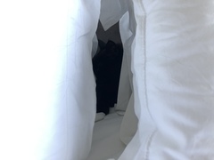 I think there might be a cat in the window
