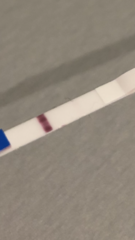 Starting TTC again after missed miscarriage part two