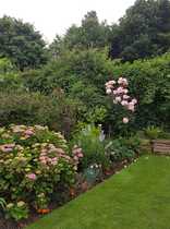 Our garden is not the cause for the lack of sale