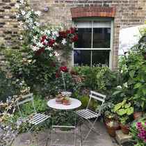 Rubbish garden