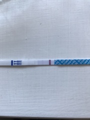 Took a test but confused by the results!
