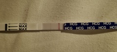 Pregnancy tests!
