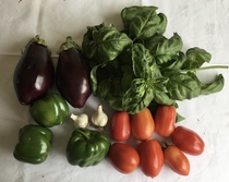 Allotment/Veg Patch Thread 16  Weather weirdness prevails !