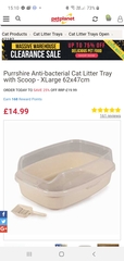 Collecting kittens on Friday, need advice on cat carrier etc