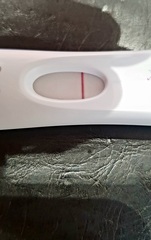 OH better impregnate me good - August Bus 15