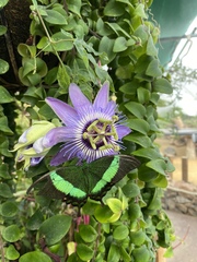 August Always Adds Pocket Pressure, Frugal Friends Thrive Thriftily