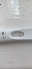 Line eyes at 11dpo?