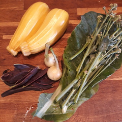 Allotment/Veg Patch Thread 16  Weather weirdness prevails !