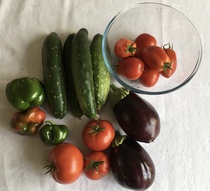 Allotment/Veg Patch Thread 16  Weather weirdness prevails !
