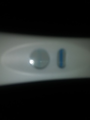 2-2 1/2 weeks late
