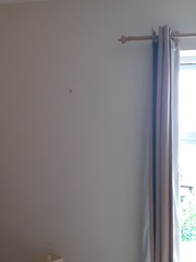 I've made a big mistake on my wall!