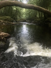 Any Witches Here? Part 11