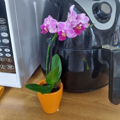 Penguin huddle 🐧🐧🐧 TTC after pregnancy loss - Thread 35 - time for some sticky BFP's