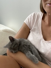 Photo thread for kittens!