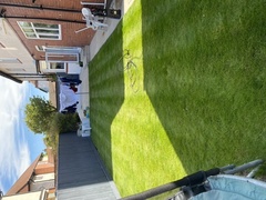 Concrete garden in new house