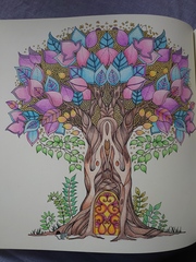Adult colouring in