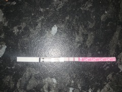 Positive OPK CD18 near positive OPK at 8dpo