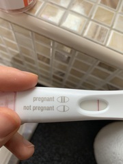 Do you think this is a faulty test?
