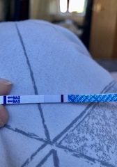 Line eyes - are these evap lines?