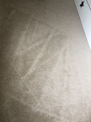 Any new Eufy Robovac parents out there?