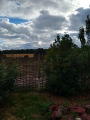 Help! Does anyone know someone who is looking to buy a lovely house in Suffolk? Or give helpful advice?