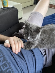 Photo thread for kittens!