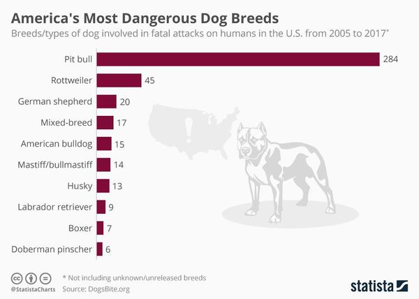 Reporting dangerous dogs?