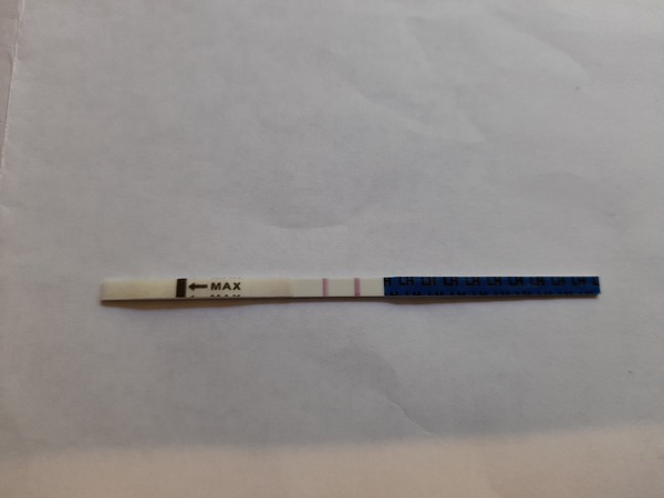 TTC after MC - September 2020 (Thread 13)