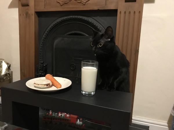 Wasn’t me.