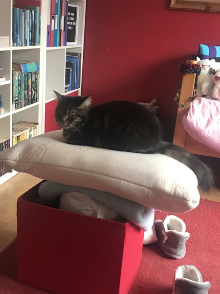 Captain V ruling the roost