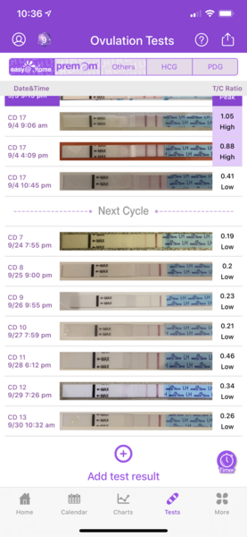 CSG (Thread 4)
