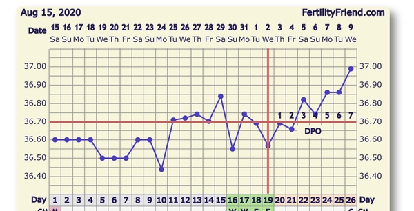 Can someone give me opinions of my BBT Chart?