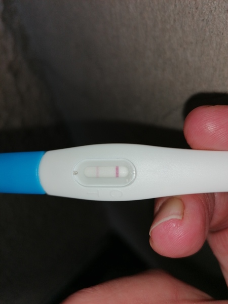 🦕 Catching up - ttc after miscarriage part 4 🦕