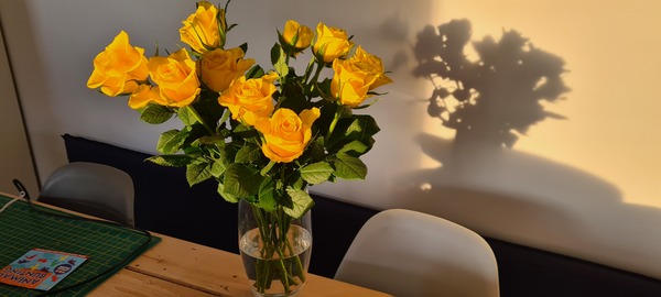 Westminstenders: Pah International Law. Who needs it?