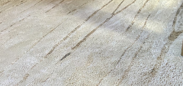 Are massive rugs called something else?