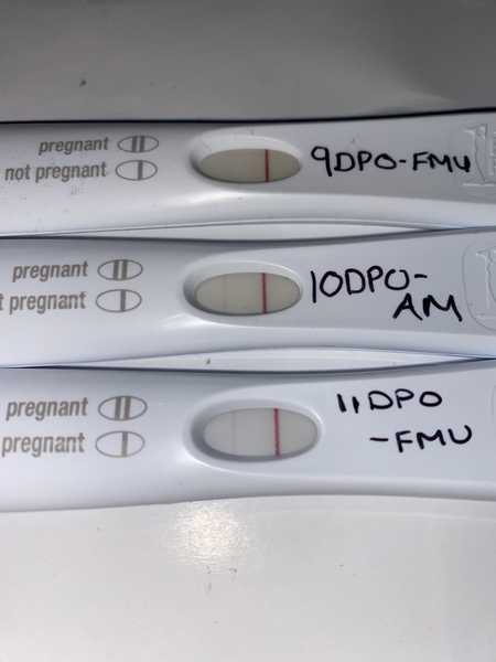 Tracking your cycle and possible BFP using RHR - part 3