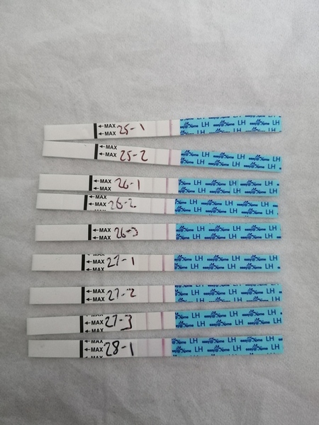 Conception:  TTC Baby no1. The crazy lot. Thread 3!!!