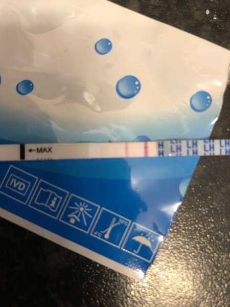 Is this a positive opk?