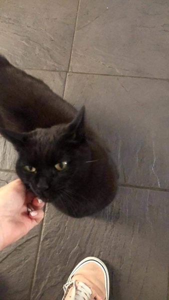 The cafe is still open thread 2