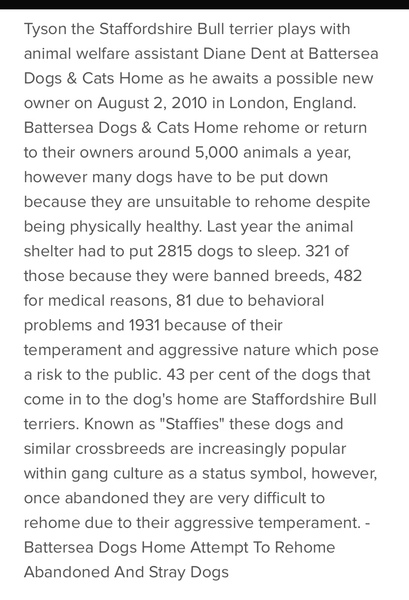 Reporting dangerous dogs?