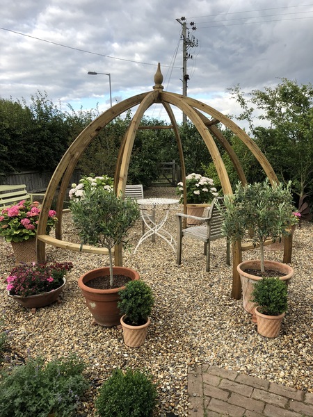 Small outside space and no idea where to start