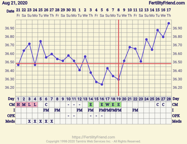 Is this triphasic?
