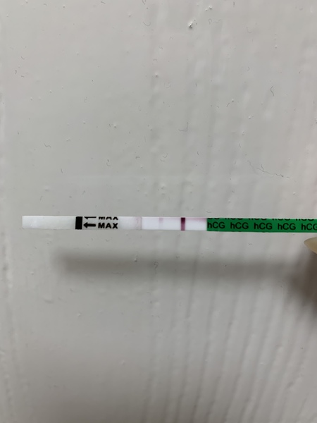 Pregnancy Test