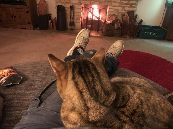 Thug cat part 3.  Unbidden guests are often welcomest when they are gone.