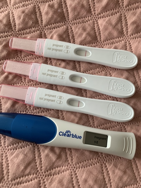 BFP rainbow babies