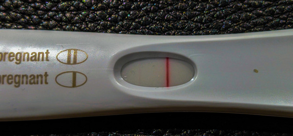 5DPO - Any buddies?